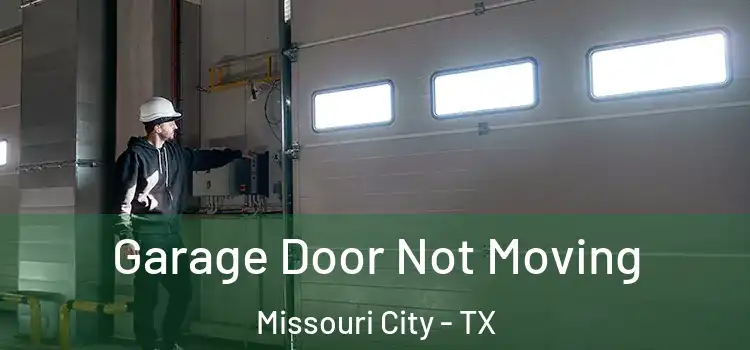  Garage Door Not Moving Missouri City - TX