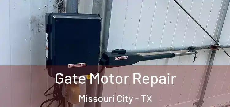 Gate Motor Repair Missouri City - TX