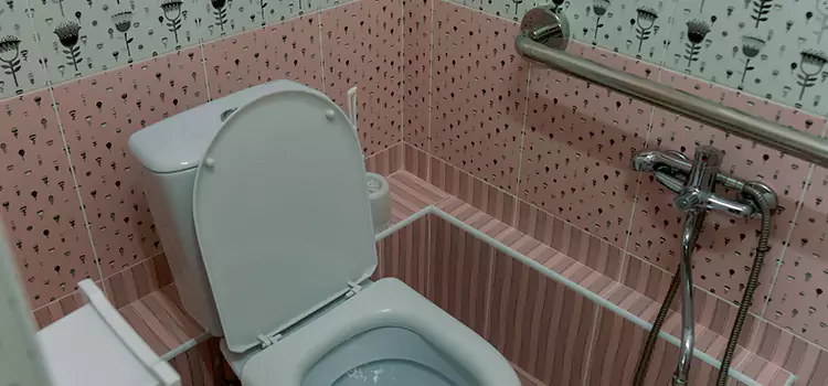 Meeting Diverse Needs With Accessible Restroom Solutions in Missouri City, TX