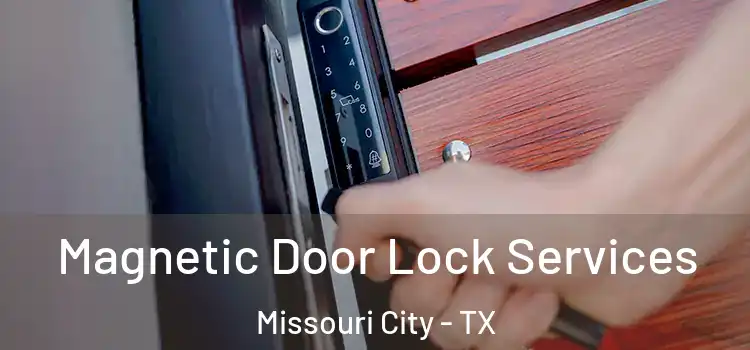 Magnetic Door Lock Services Missouri City - TX