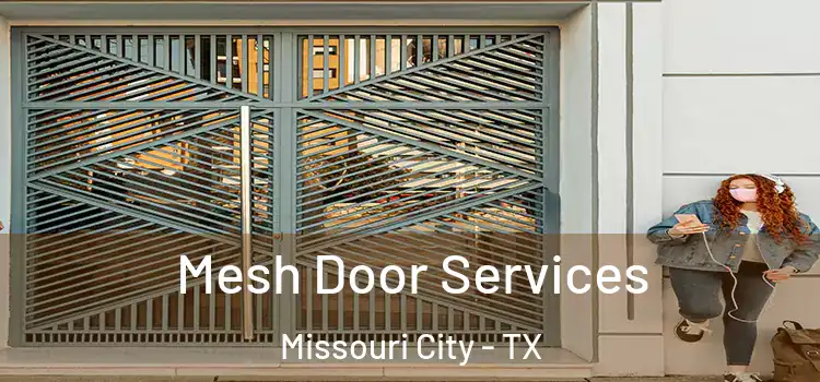 Mesh Door Services Missouri City - TX