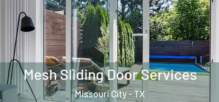  Mesh Sliding Door Services Missouri City - TX